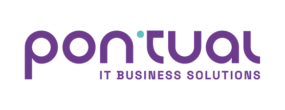 logotipo da pontual software
